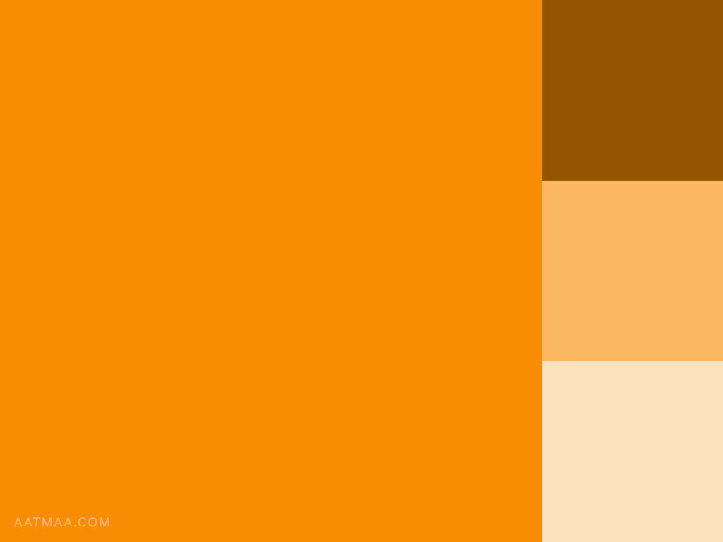 aatmaa voorbeeld test feat image